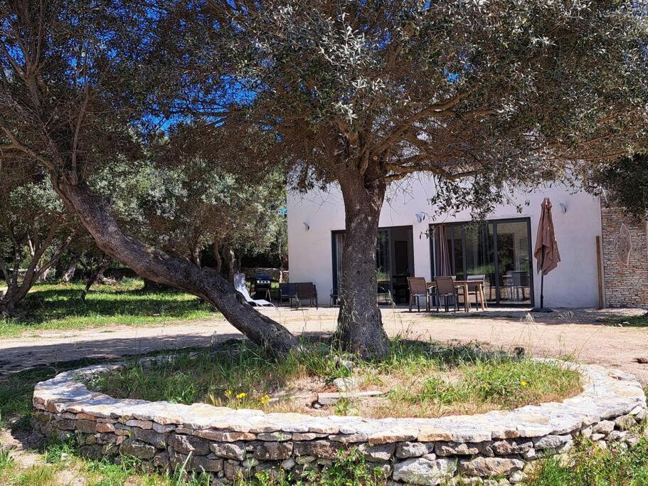 Maison Au Calme Idealement Situee Proche Plage Bonifacio  Exterior foto